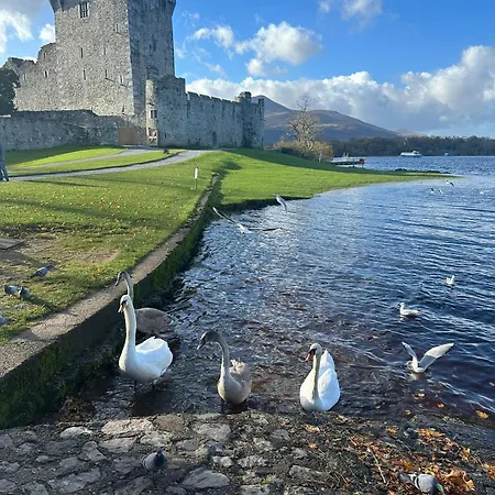 Cosy Town House - 3 Minute Walk To Town Centre With Free Parking And Wifi Sleeps 6 * キラーニー