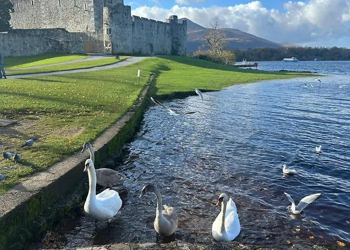 3 Fair Hill - Luxury 2 Bedroom - Town Centre -free Parking Wi-fi * Killarney